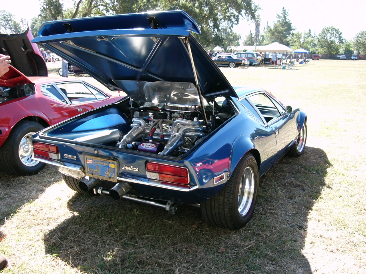 1972_detomaso_pantera___7_by_haafasst-d311a8p.jpg 1972_detomaso_pantera___7_by_haafasst-d311a8p.jpg