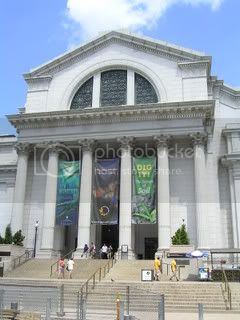 PICT0520.jpg