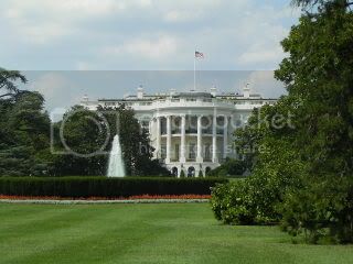 PICT0529.jpg