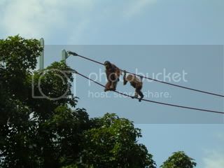 PICT0640.jpg