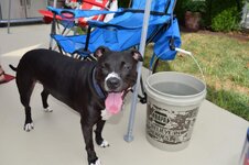 DSC_0014.jpg