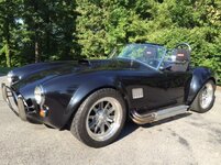 cobra 1.jpg