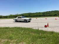 IMG_7852.jpg