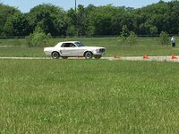 IMG_7863.jpg