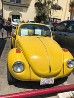 IMG_2372.jpg