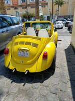 IMG_2377.jpg