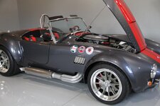 GrayCobra1.jpg