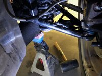 Imports - 1 of 1.jpeg