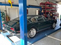 IMG_6061.jpeg