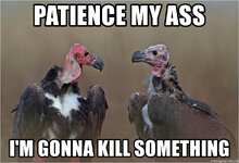 patience-my-ass-im-gonna-kill-something.jpg