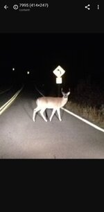 Screenshot_20210730-214444_Chrome.jpg Screenshot_20210730-214444_Chrome.jpg