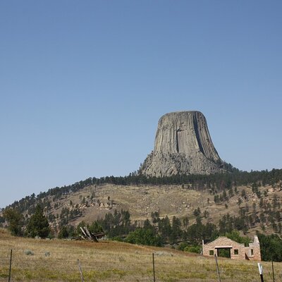 image317.JPG