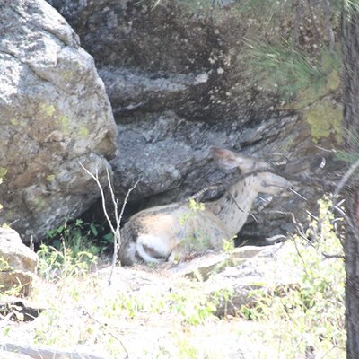 image324.JPG