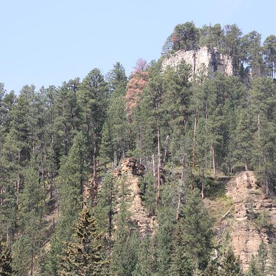 image364.JPG