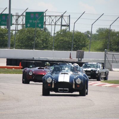 IMG_0869 (Large).JPG