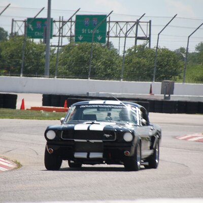 IMG_0871 (Large).JPG