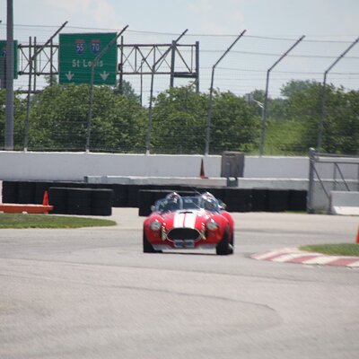 IMG_0879 (Large).JPG