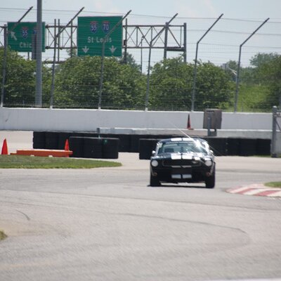 IMG_0884 (Large).JPG