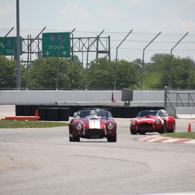 IMG_0914 (Large).JPG