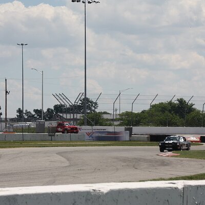 IMG_0990 (Large).JPG