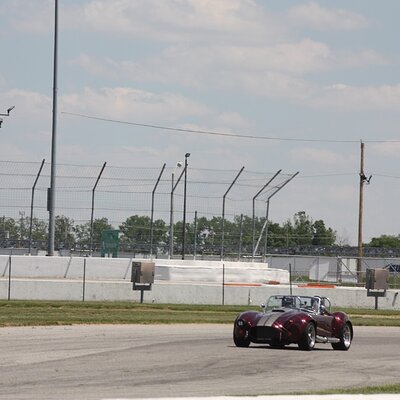 IMG_1176 (Large).JPG
