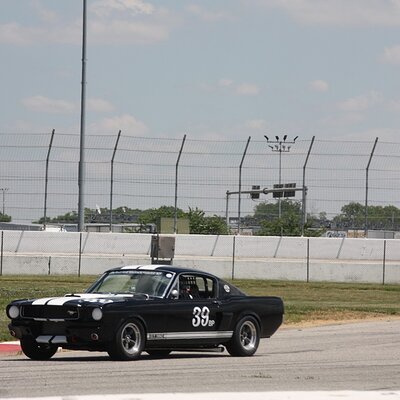 IMG_1186 (Large).JPG