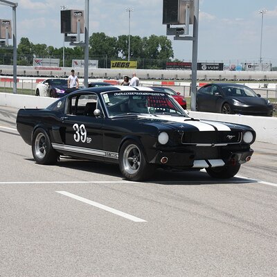 IMG_1311 (Large).JPG