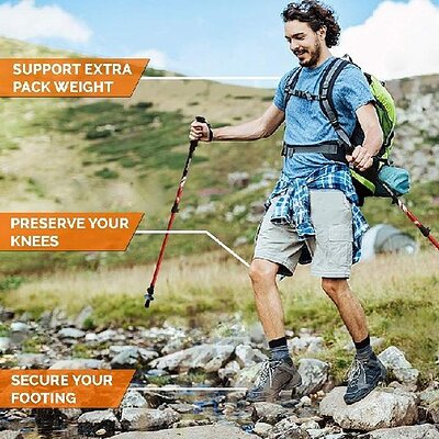 Hiking Sticks.jpg