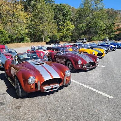 Parking Lot Cobras.jpg