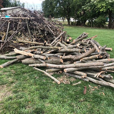 firewood.jpg