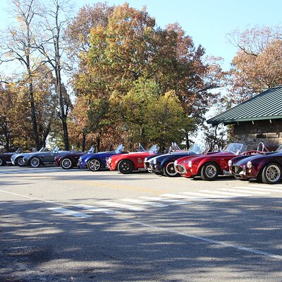 IMG_6343 (Large).JPG