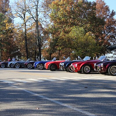 IMG_6336 (Large).JPG