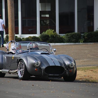 IMG_6384 (Large).JPG