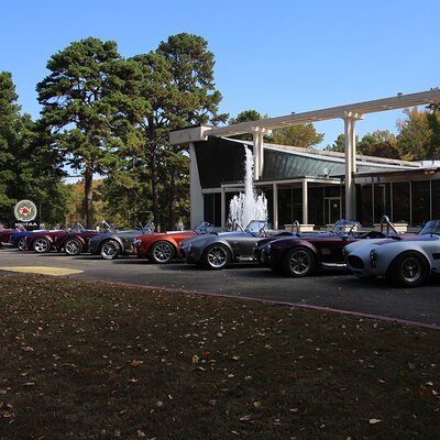 IMG_6371 (Large).JPG