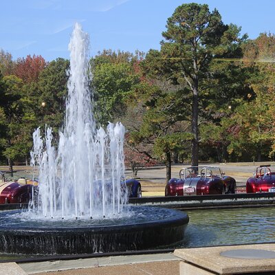 IMG_6376 (Large).JPG