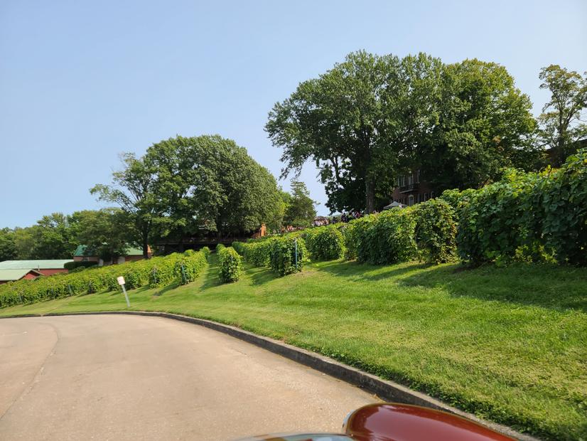 20200919_134847.jpg