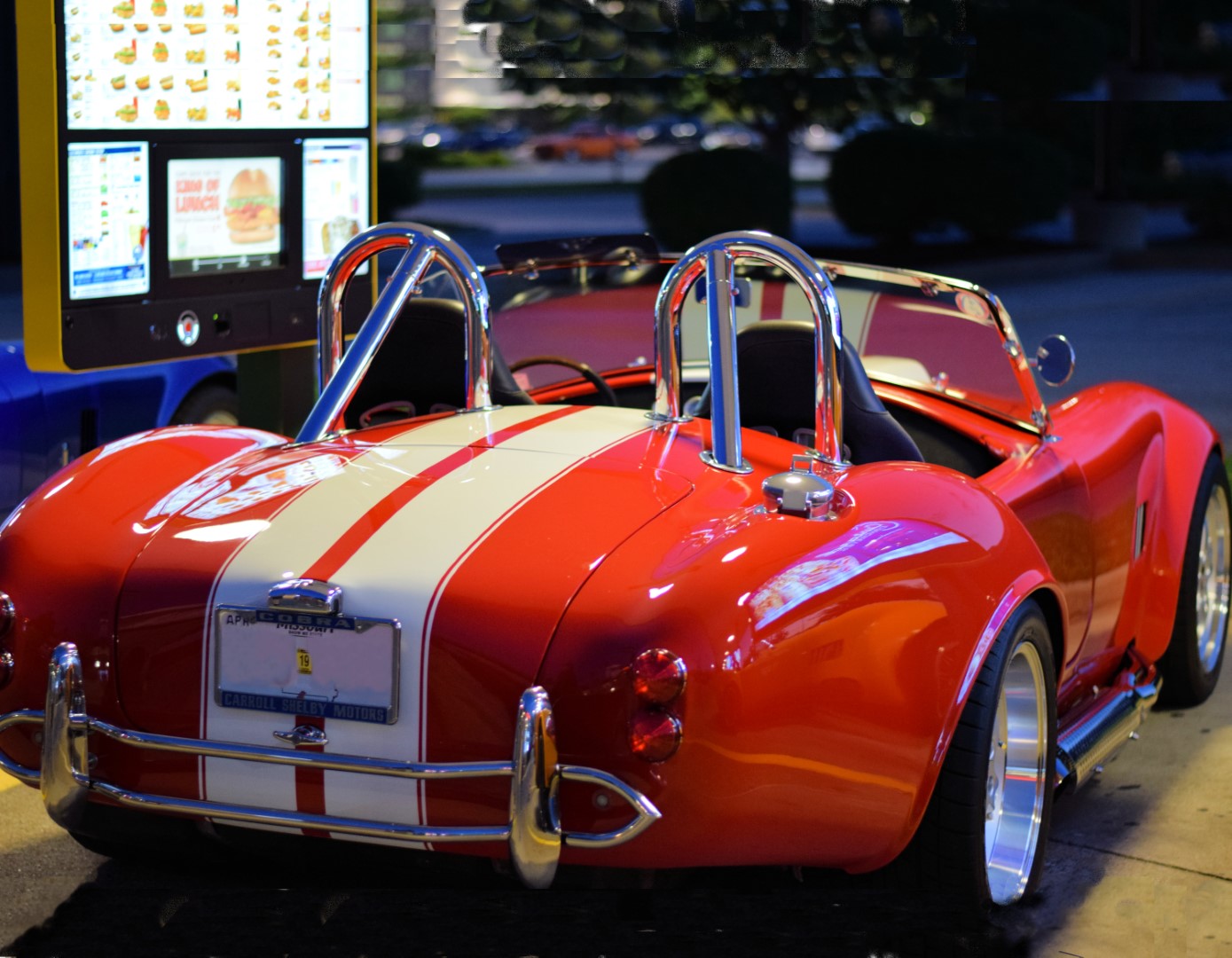 DSC_2528.JPG