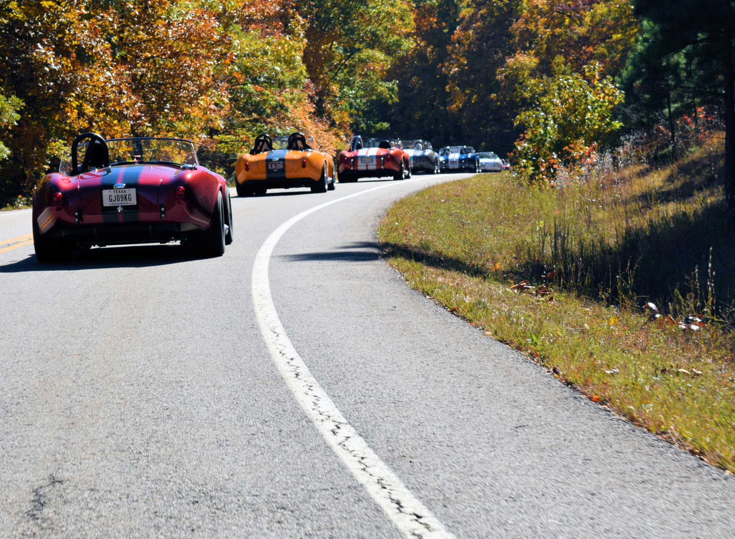 Fall_Cruise.png