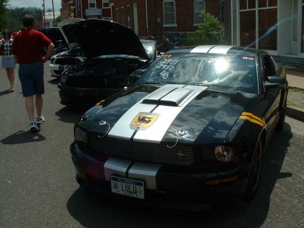 image232.jpg