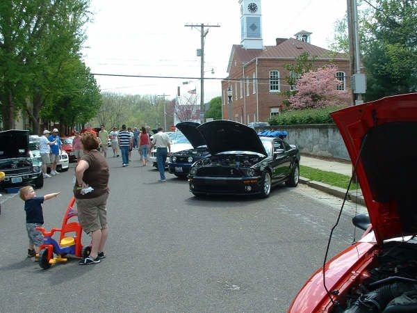 image233.jpg