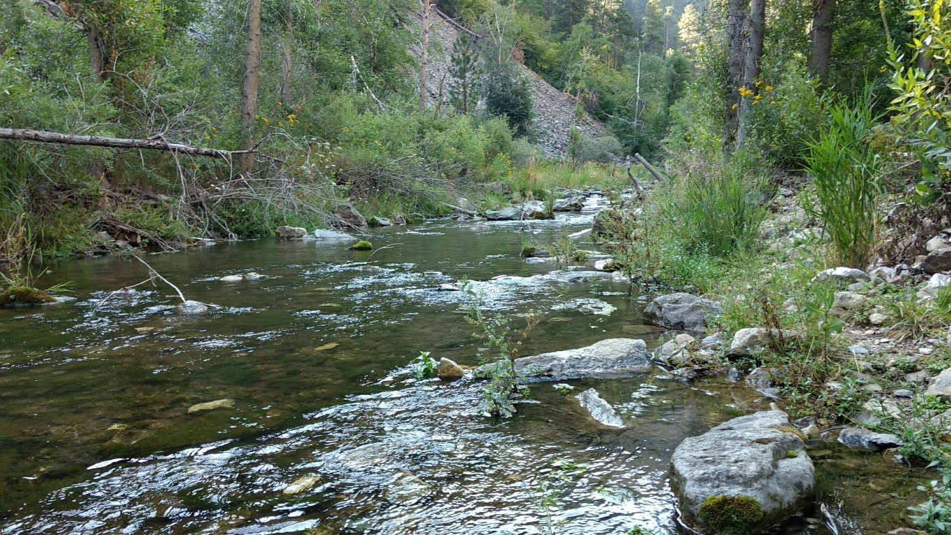 image308.jpg