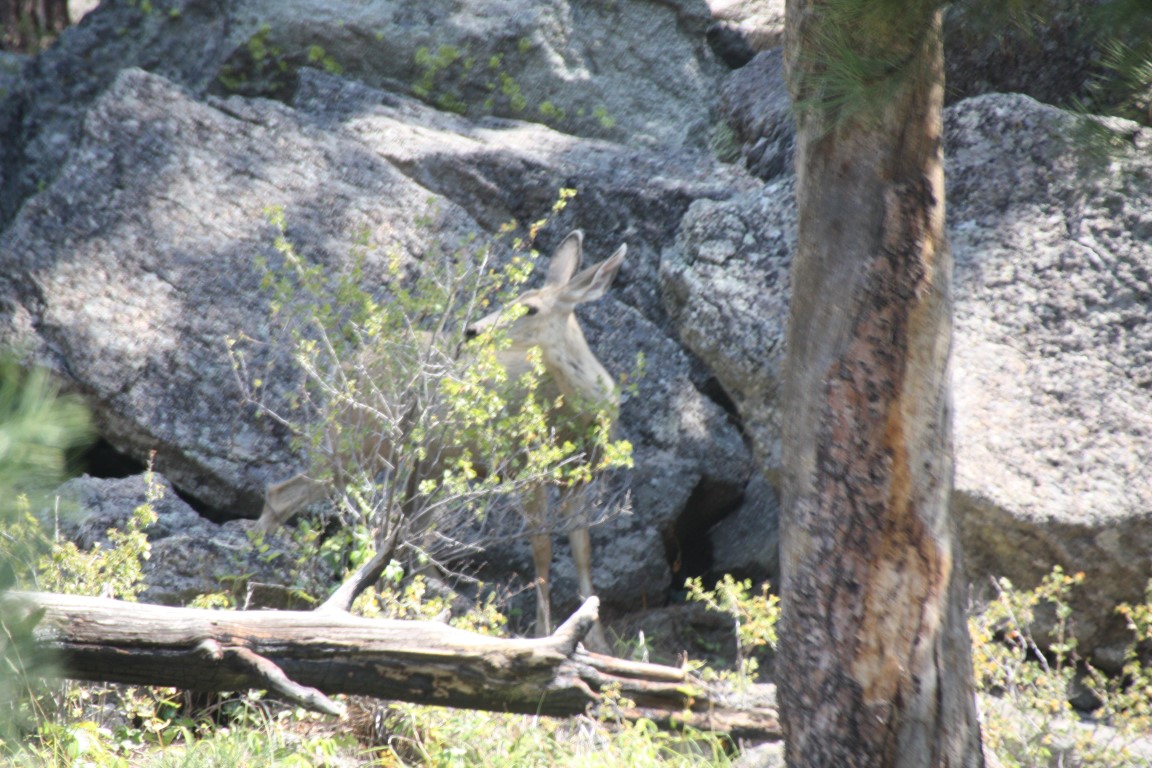 image323.JPG