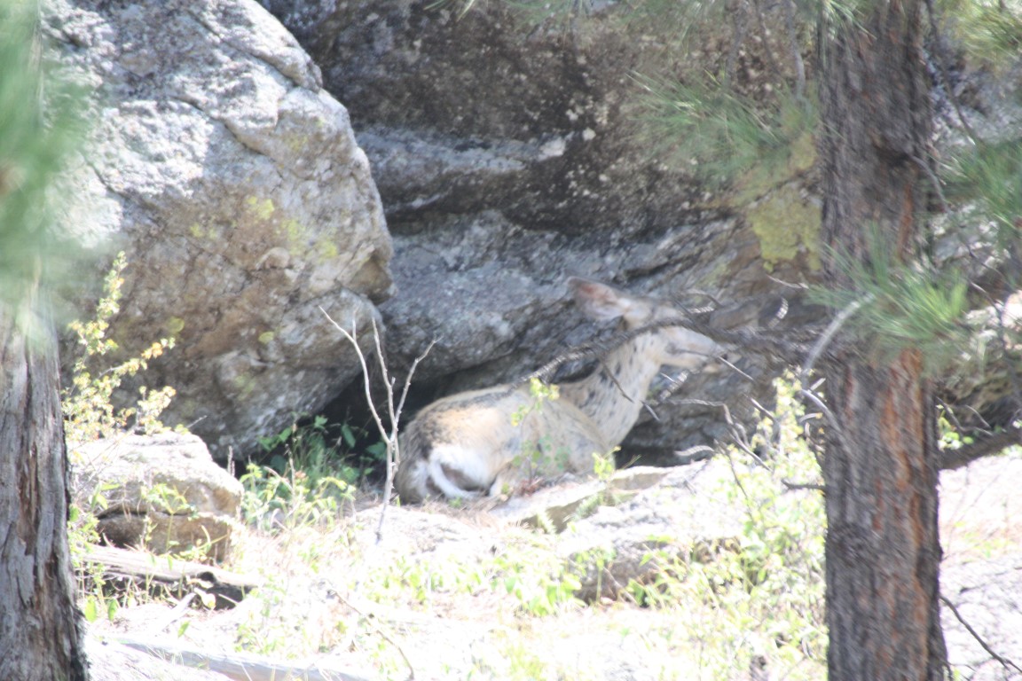 image324.JPG