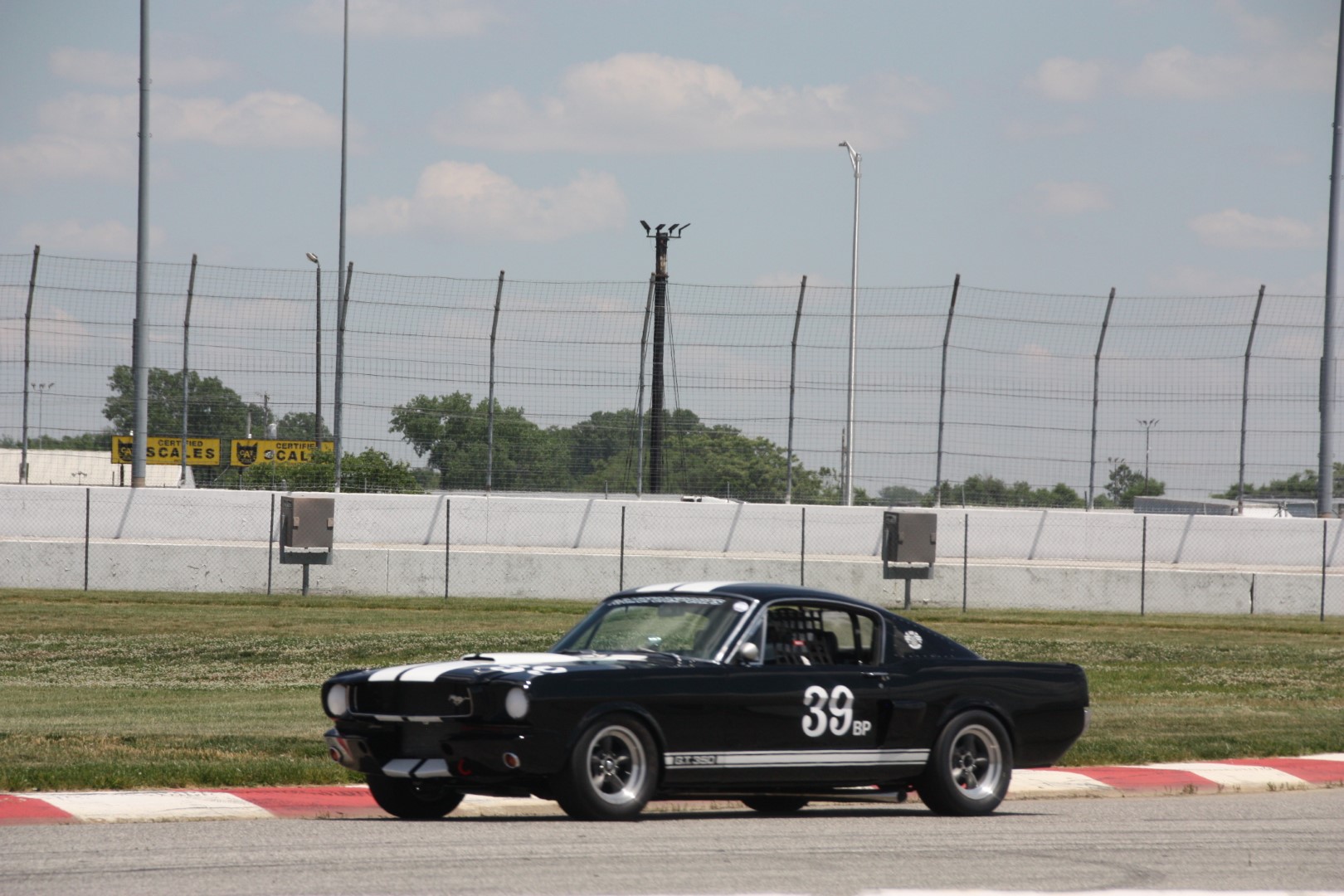 image350.JPG