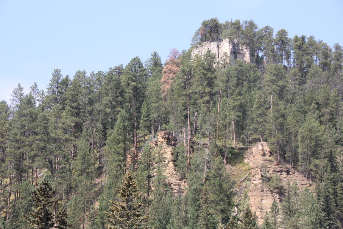 image364.JPG