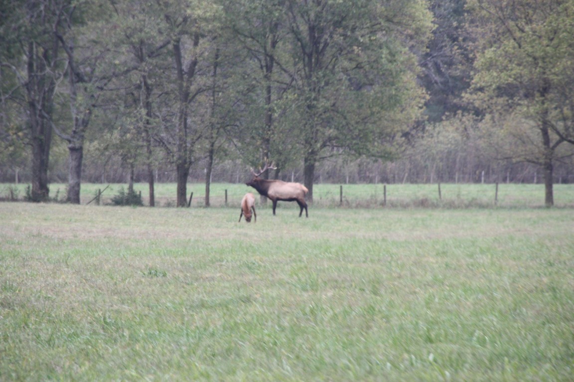image38.JPG