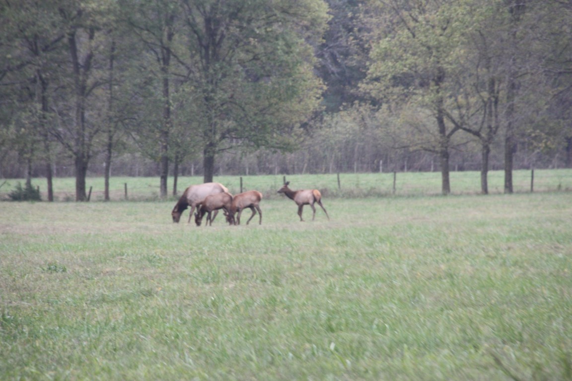 image39.JPG