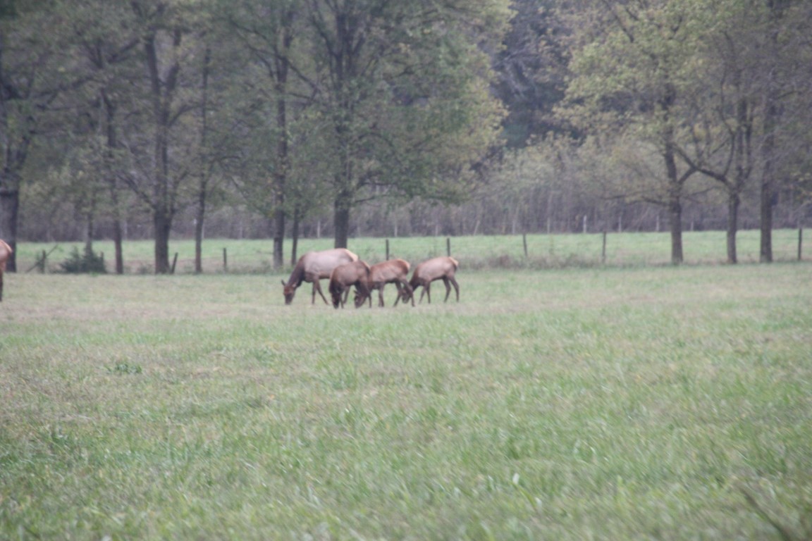image40.JPG