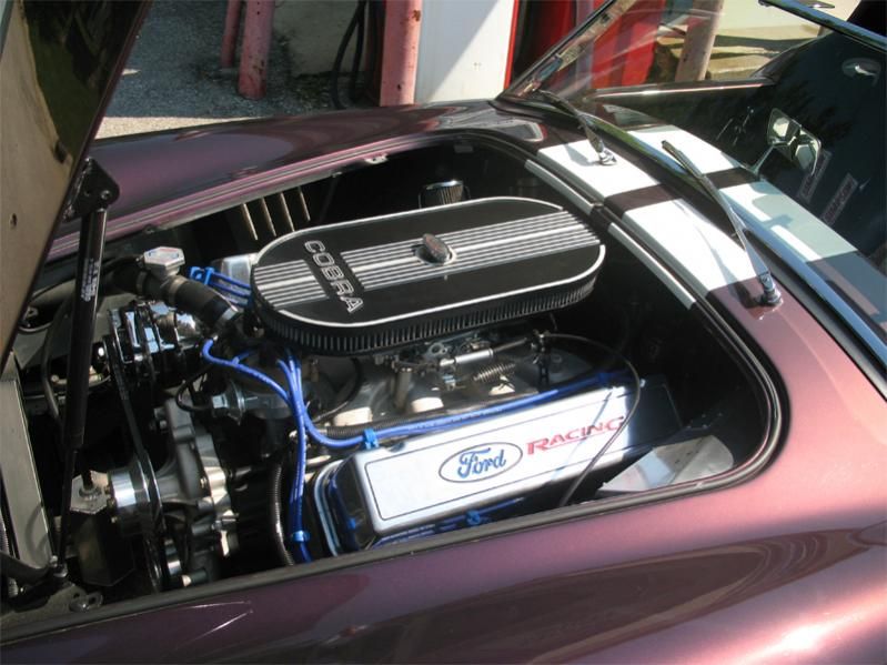 image411.jpg