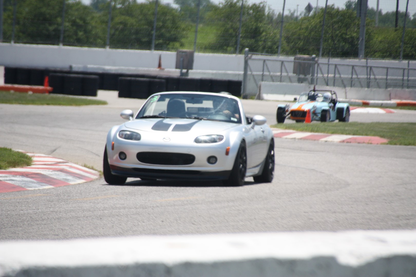 IMG_0852 (Large).JPG